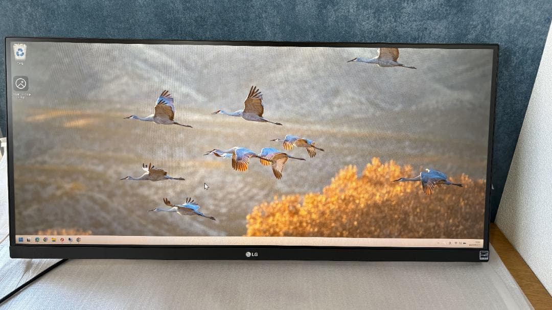 LG 29WQ600-W 29インチ ウルトラワイドモニター 29