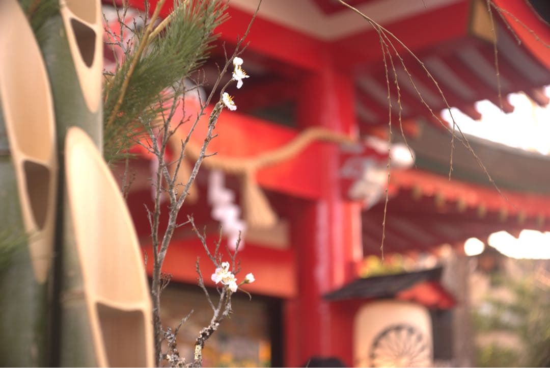 東京光学　Toko 3.5 7.5cm トリプレットの銘レンズ❗️