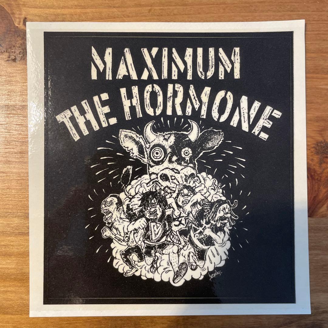 マキシマムザホルモン ステッカー2枚セット レアデザイン - メルカリ
