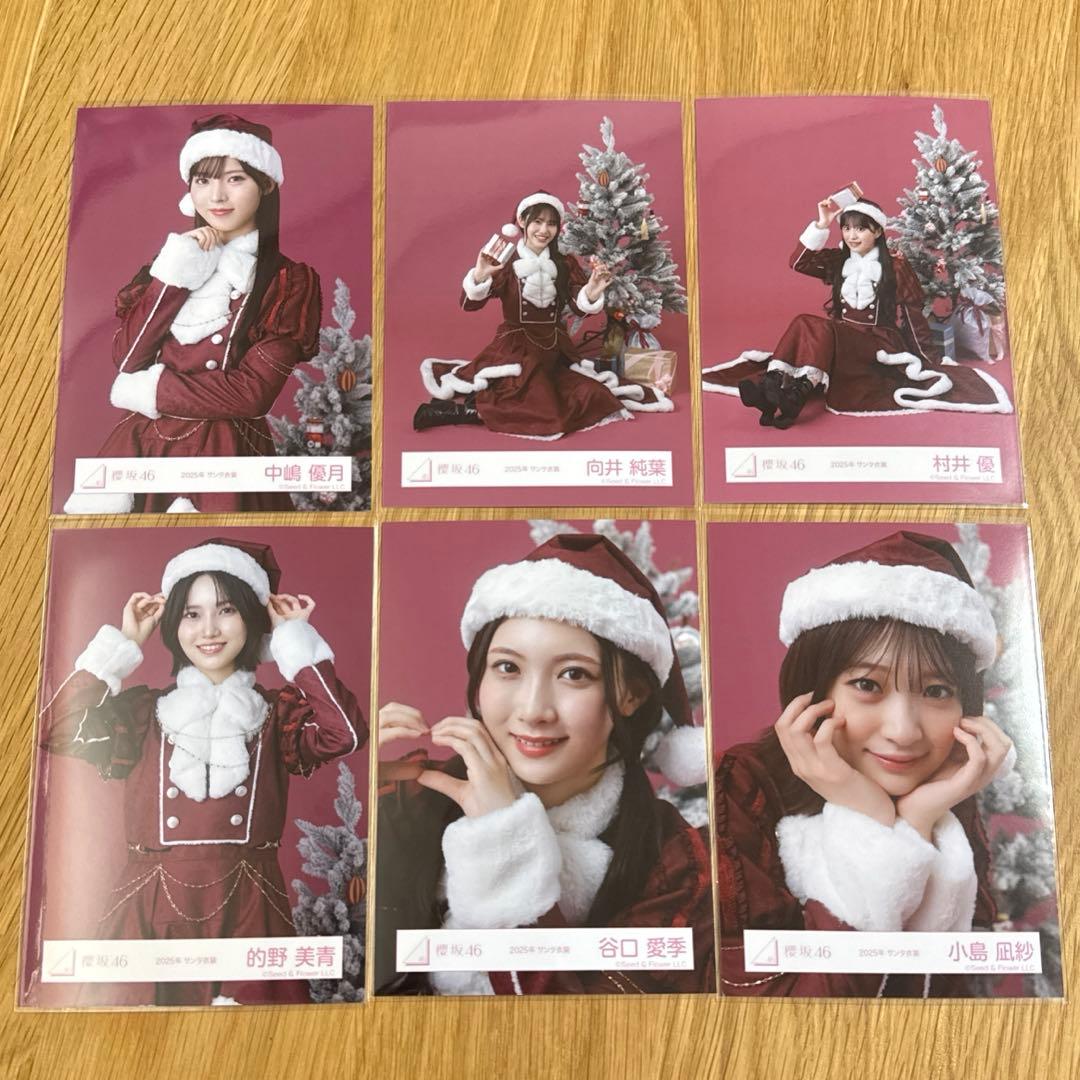 櫻坂46 生写真 2025年 サンタ衣装 三期生まとめ売り 6枚 - メルカリ
