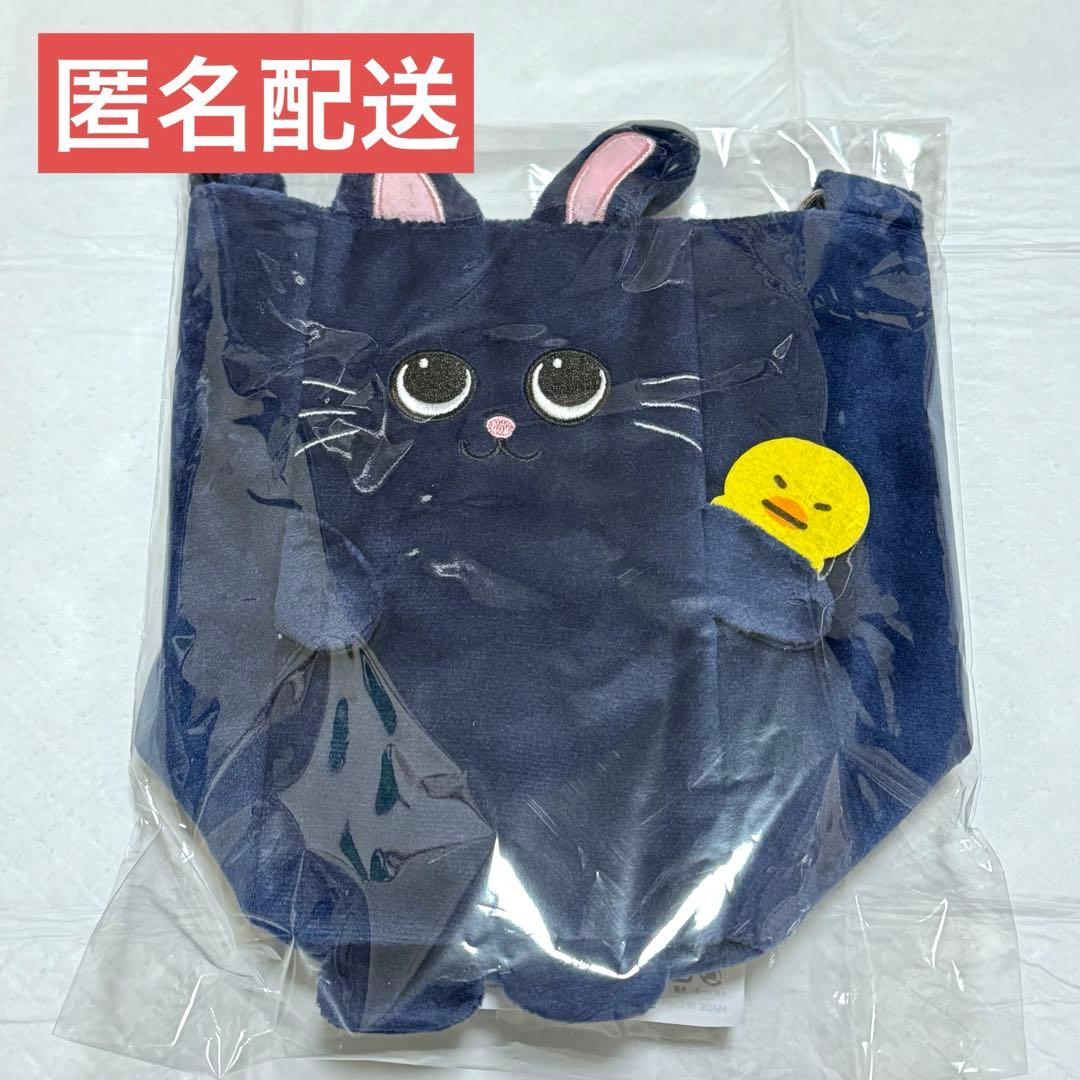 RIIZE RIIZING LOUD 東京ドーム ファンライトバッグ ウォンビン - メルカリ