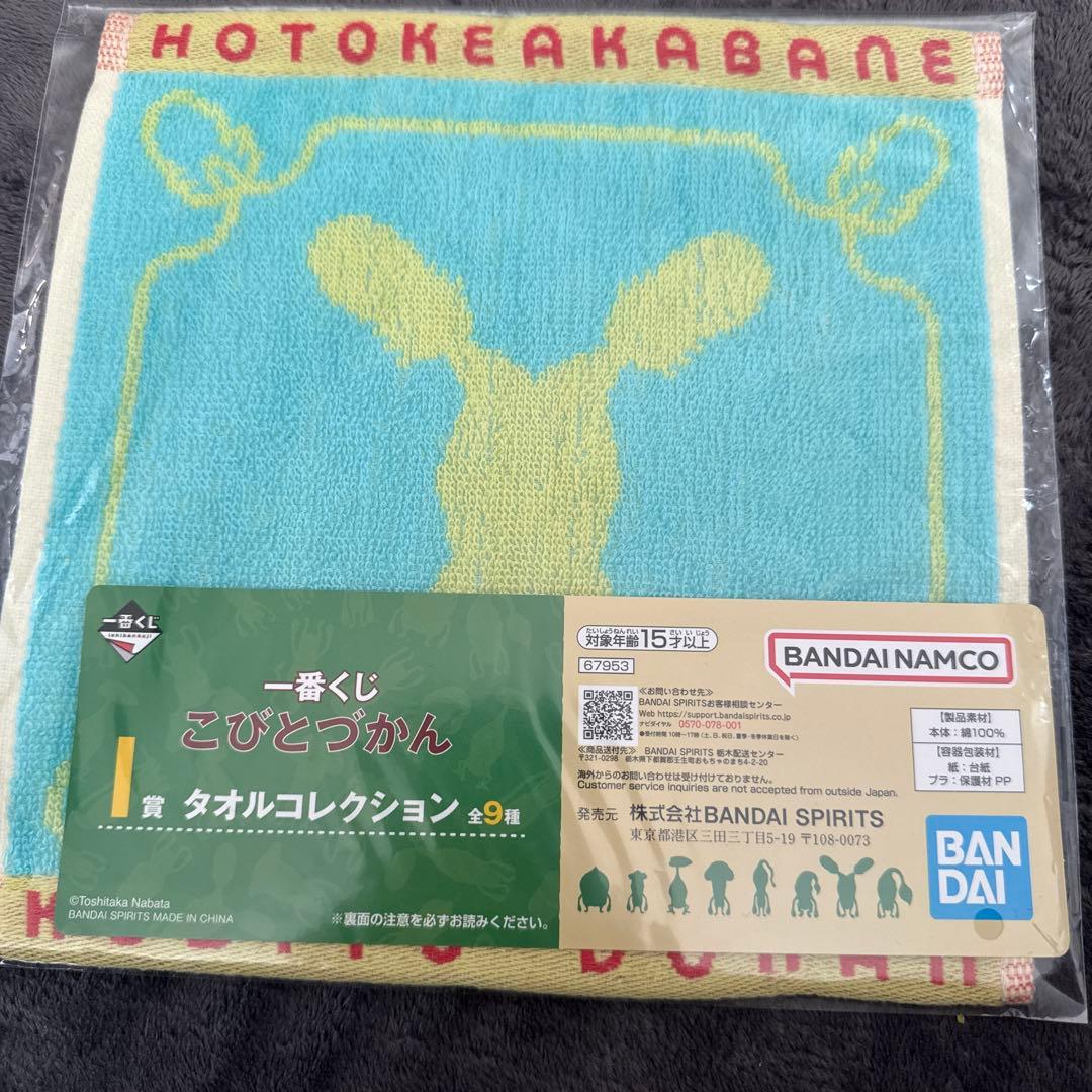 【値下げ交渉◎】こびとづかん 豪華セット