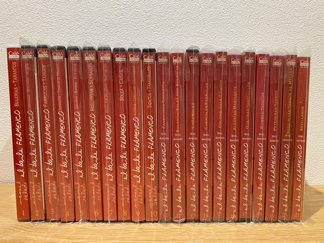 【21全巻セット】エル・バイレ・フラメンコ DVD教材 マヌエル・サラド