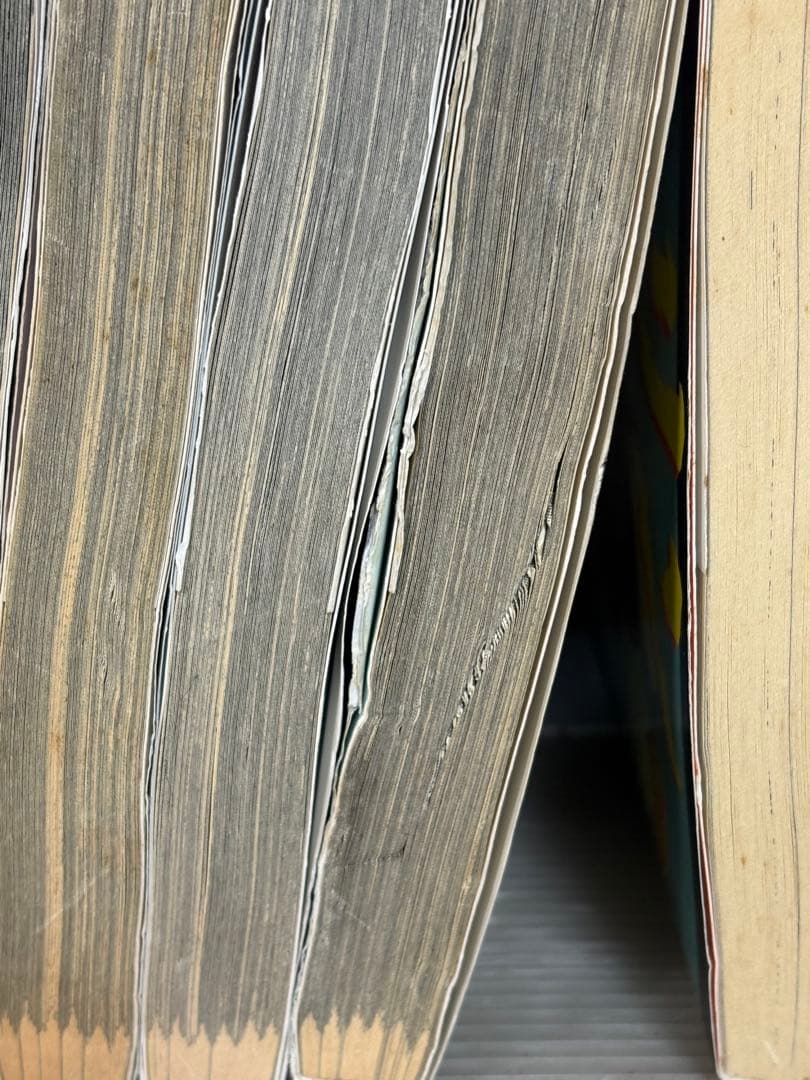 専用【U819m】《ヤケシミ巻等難あり》 東本昌平 キリン21冊まとめ売りセット