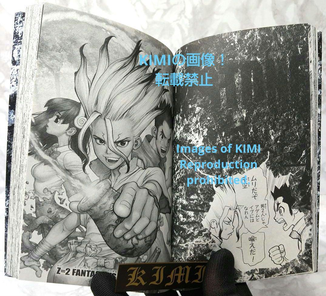 希少 初版 Dr.STONE 1 コミック 2017 Boichi,稲垣 理一郎 - メルカリ