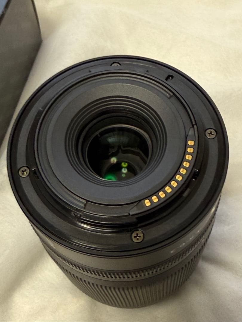 フード付き　NIKKOR Z DX 50-250mm f/4.5-6.3 VR