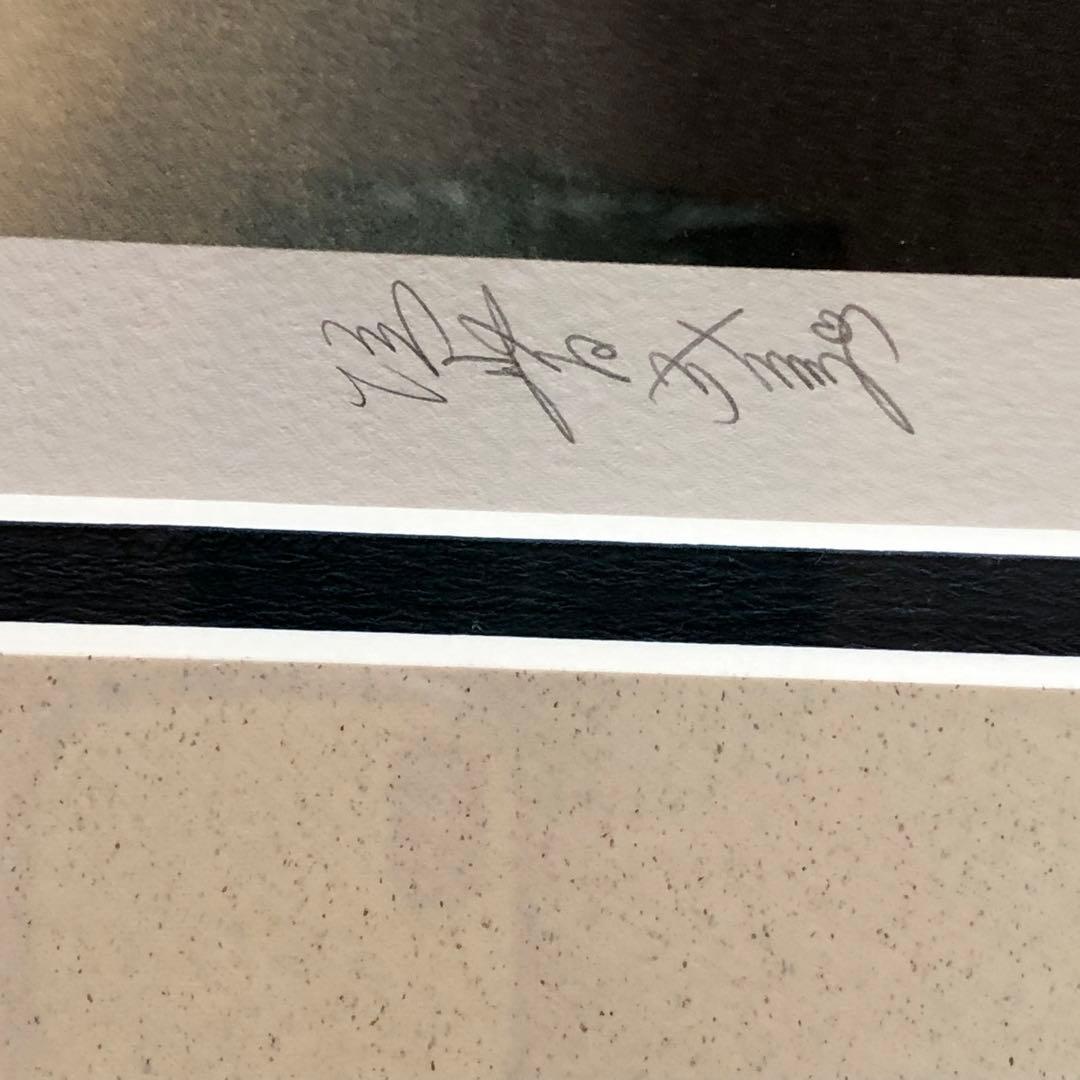 垣野内成美 綾火〜吸血姫美夕〜 リトグラフ 直筆サイン限定150枚 漫画