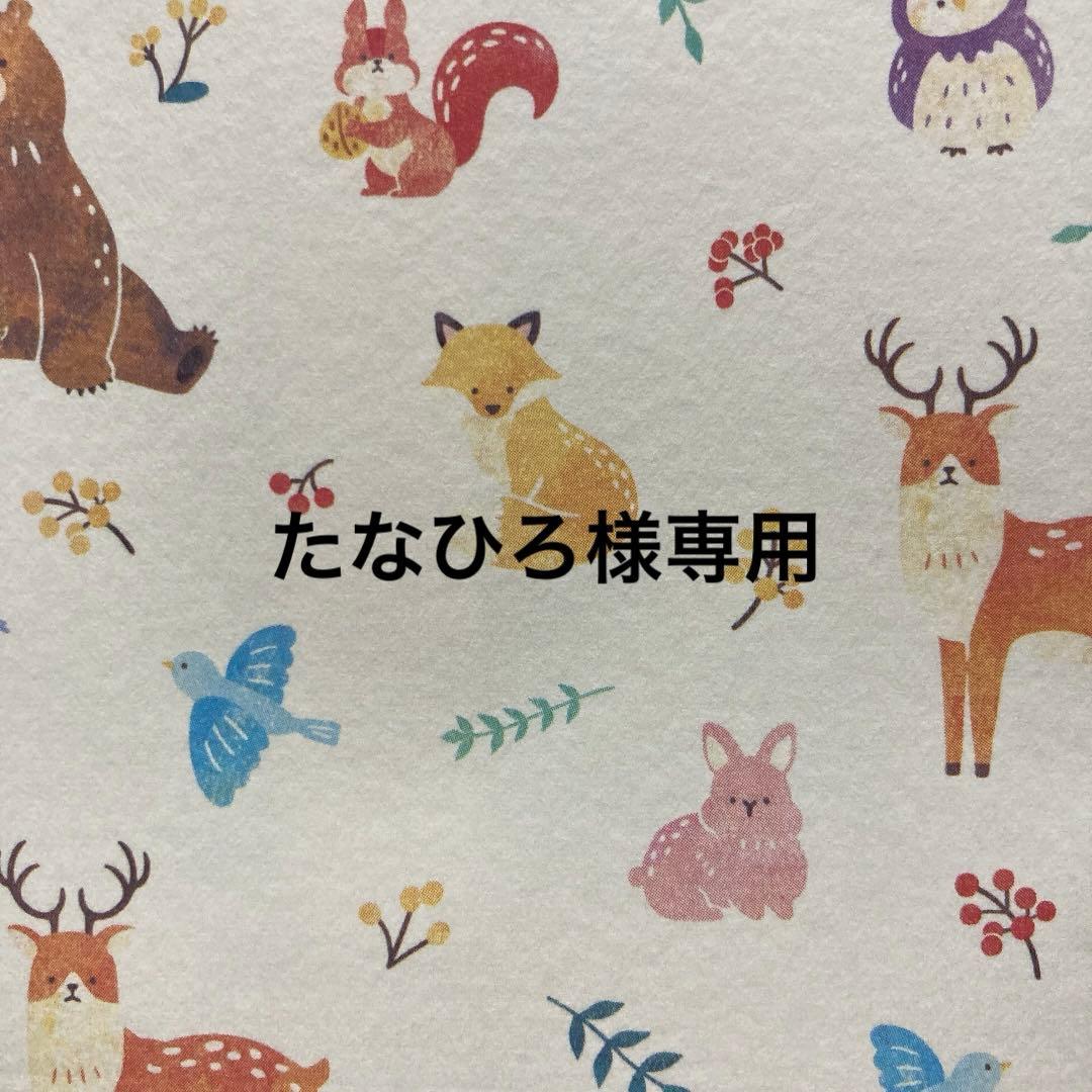 サキナ各種 2008 Kawasaki ZX14 SPECIAL EDITION - AK Motors