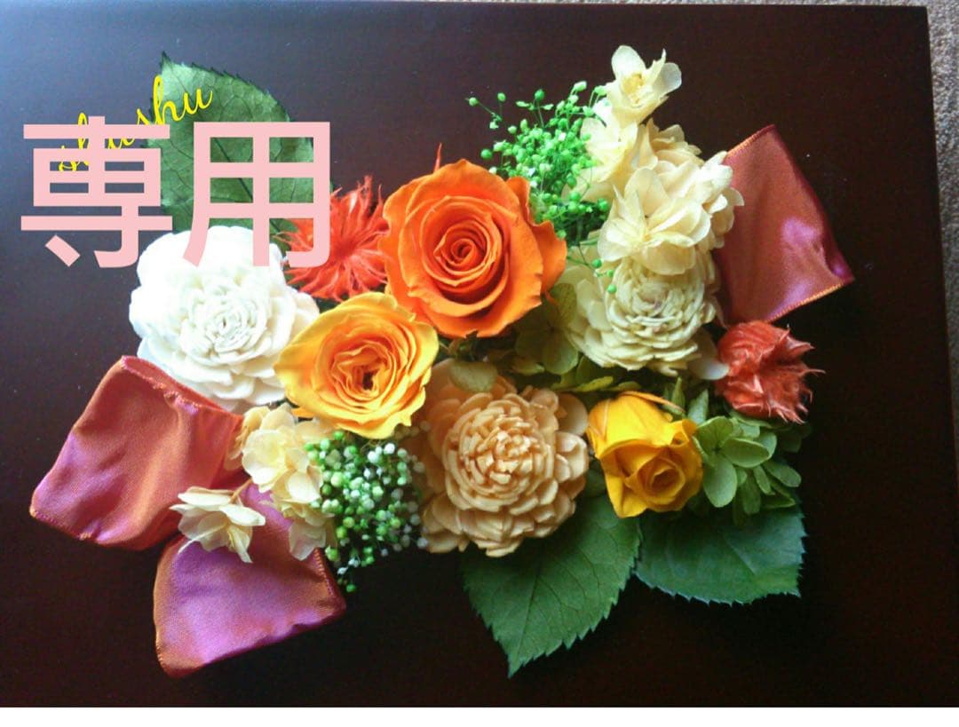 ドクターセレクト♪320000 プラセンタ ドリンク 30包] 商品説明覧必