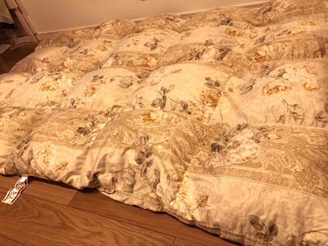 東京西川 超長綿100% フランス産マザーグースダウン93% 1.2k 一層