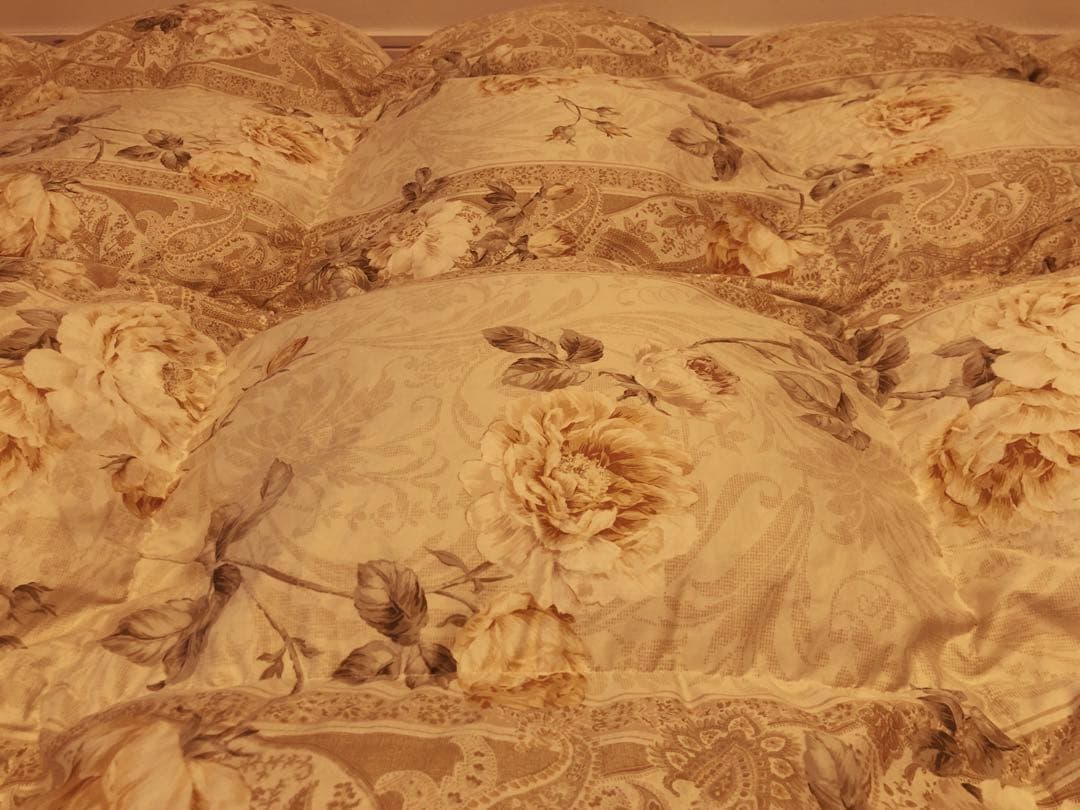 東京西川 超長綿100% フランス産マザーグースダウン93% 1.2k 一層