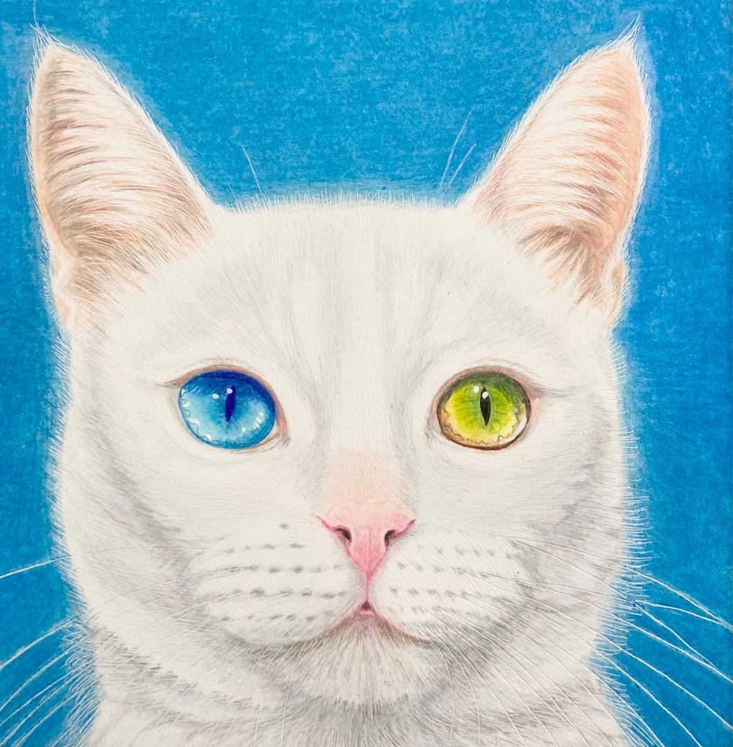 猫の絵 色鉛筆画 白猫 幸せを呼ぶと言われるオッドアイ - メルカリ