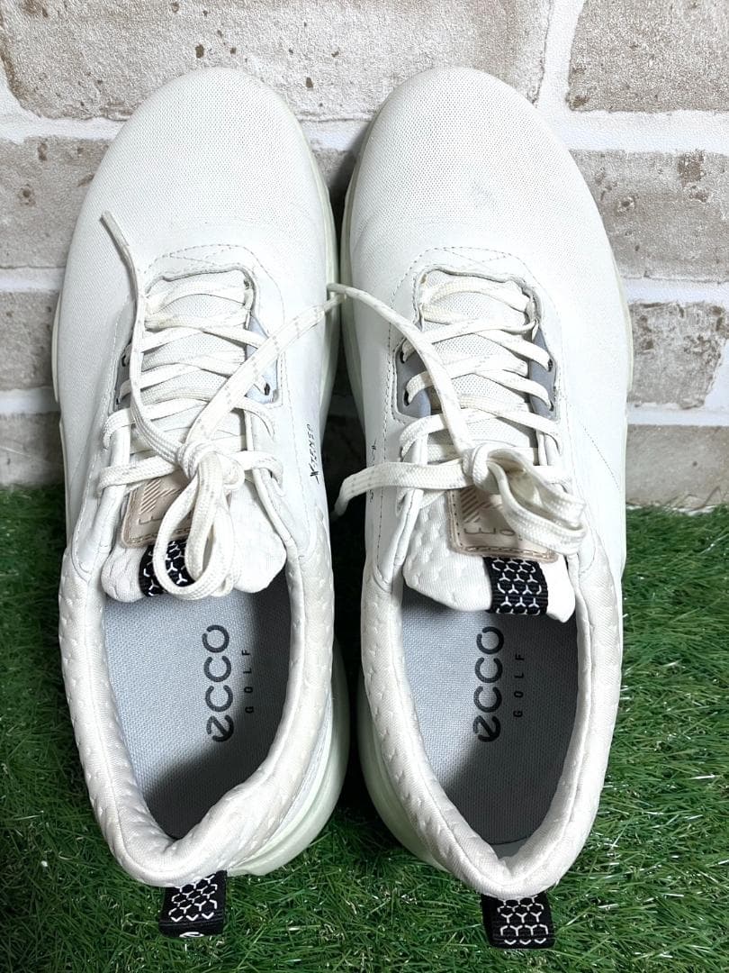 【ヨッシー】ecco エコーゴルフ biom H4 25.5cm