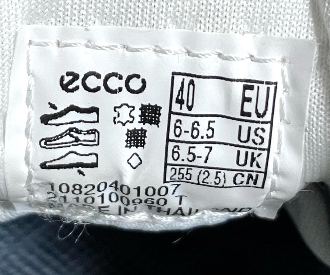 【ヨッシー】ecco エコーゴルフ biom H4 25.5cm