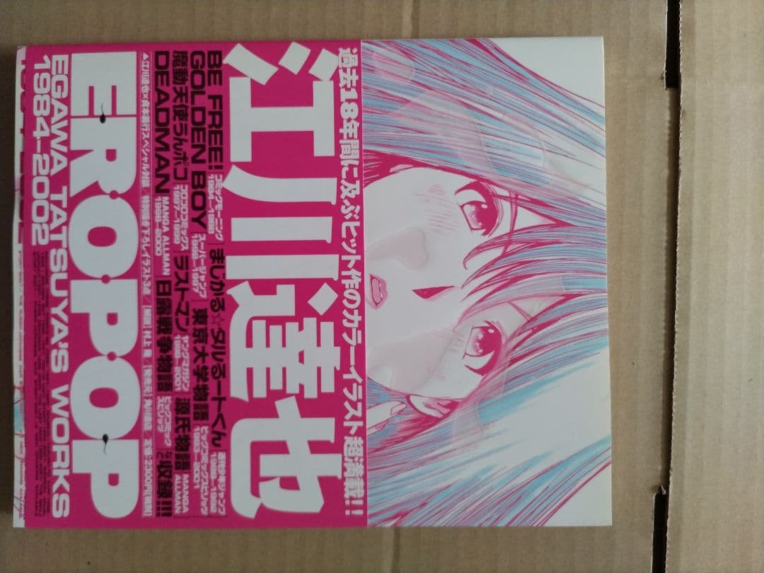 EROPOP 江川達也 画集 1984一2002 - メルカリ