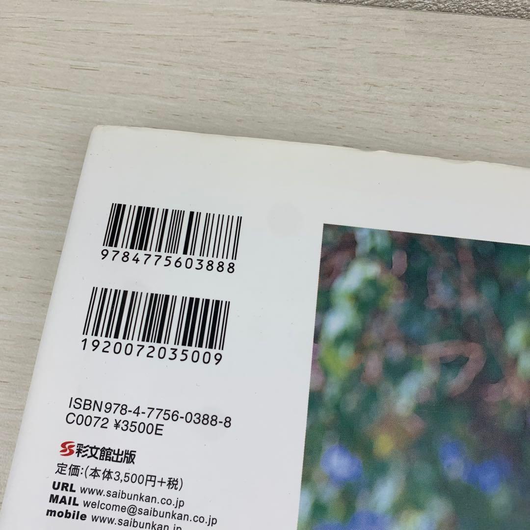 恋愛 篠崎愛 写真集 初版 帯付き