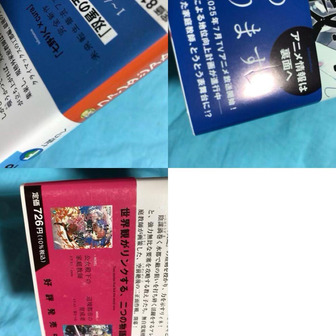 【初版帯付】公女殿下の家庭教師 〜19