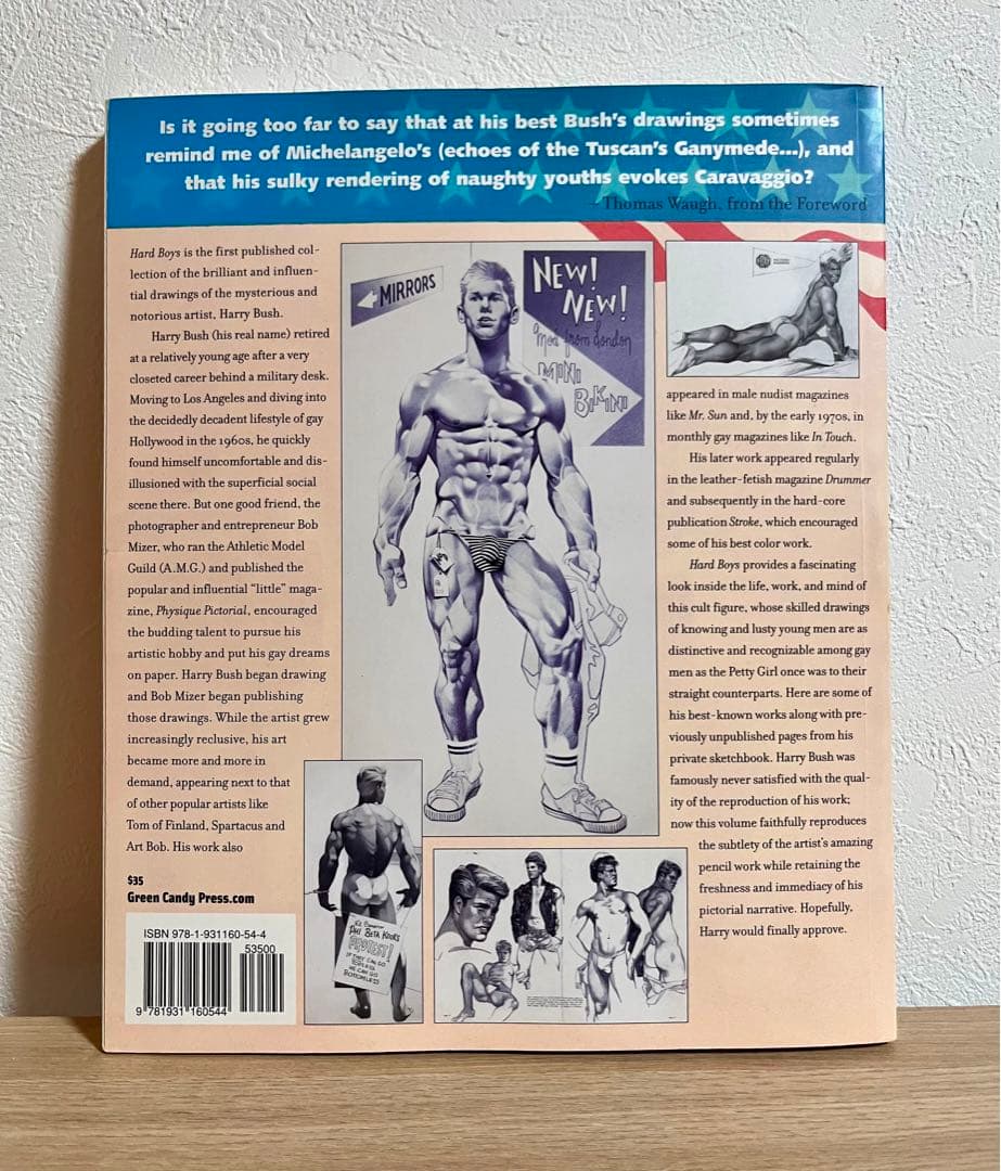 HARD BOYS by HARRY BUSH ゲイアート