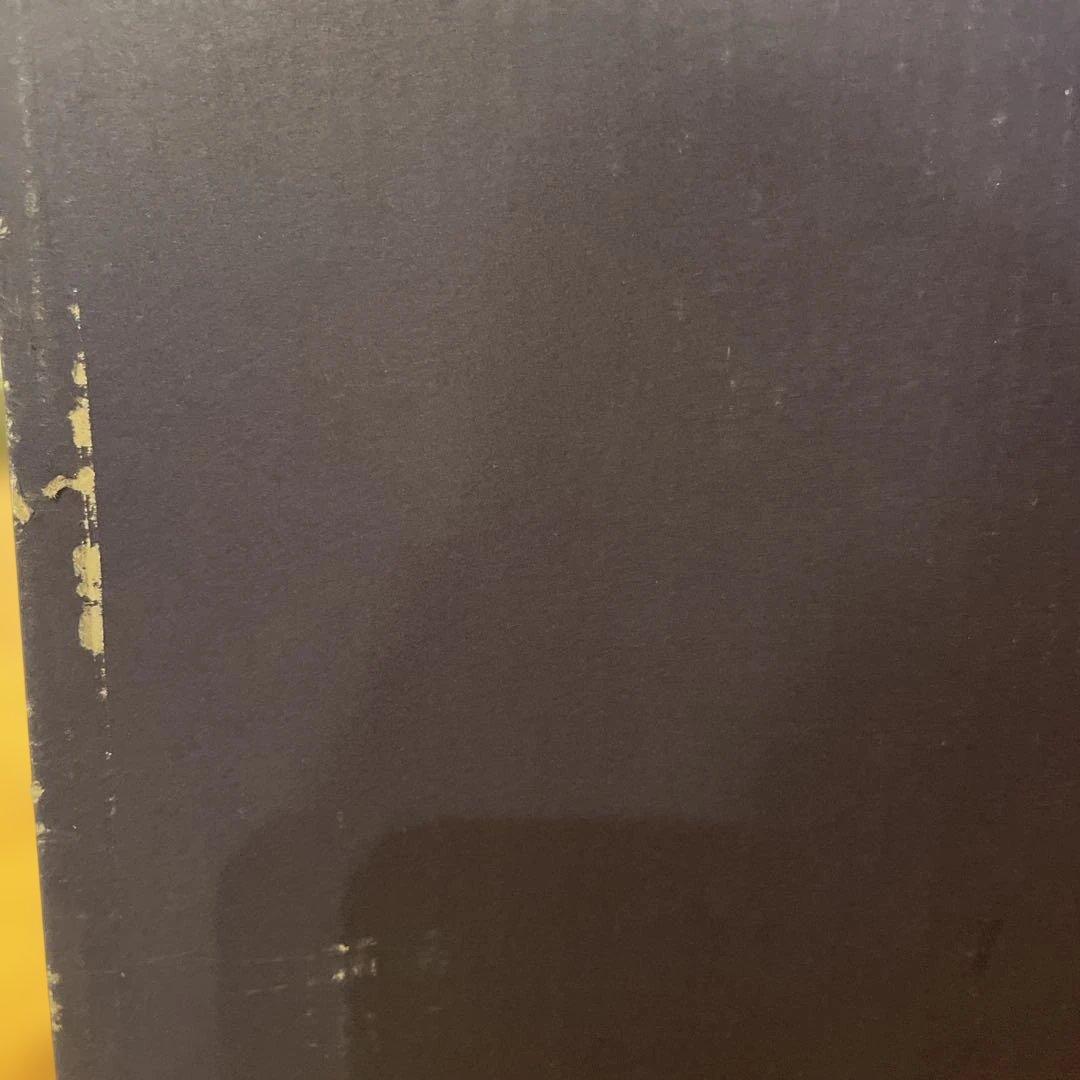 asics 東京2020オリンピック公式ライセンス商品 安全靴 25.0cm