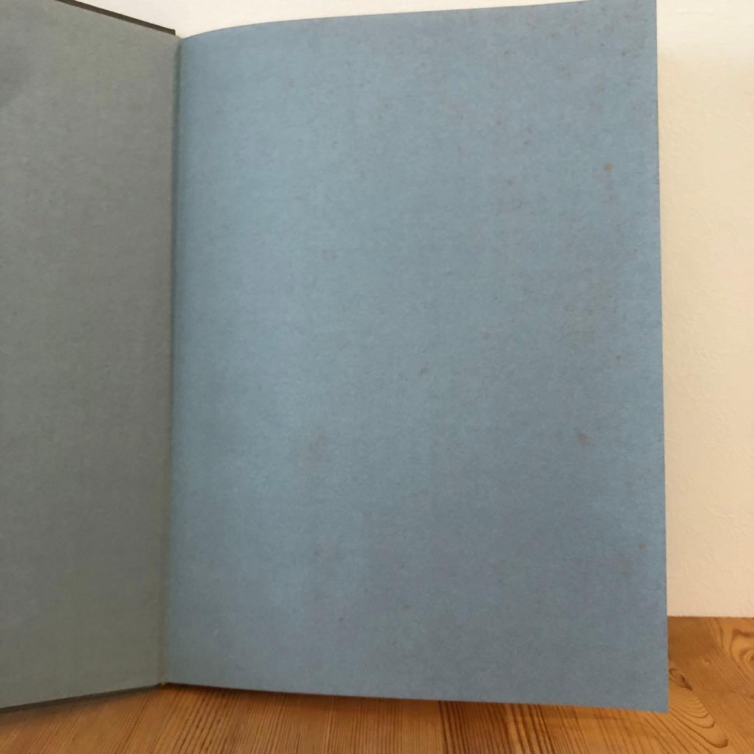 IN YOUR DREAMS／TERRI WEIFENBACH 写真集