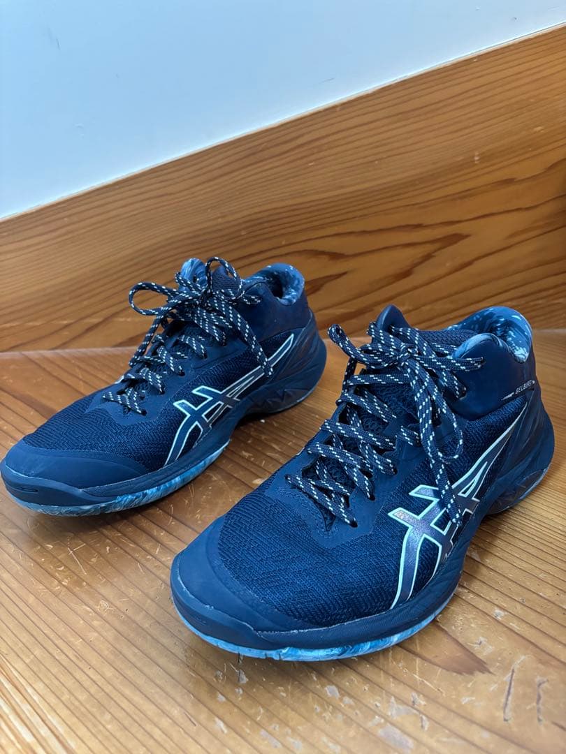 ゲルバースト28 25.5㎝　ASICS バスケットボールシューズ ASICS GEL BURST 28 アシックス ゲル バースト 28 日本未発売カラー