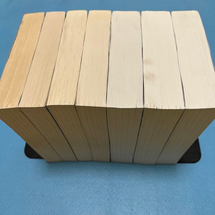 青本 早稲田大学 政治経済学部 1995年～2019年 25年分 駿台予備