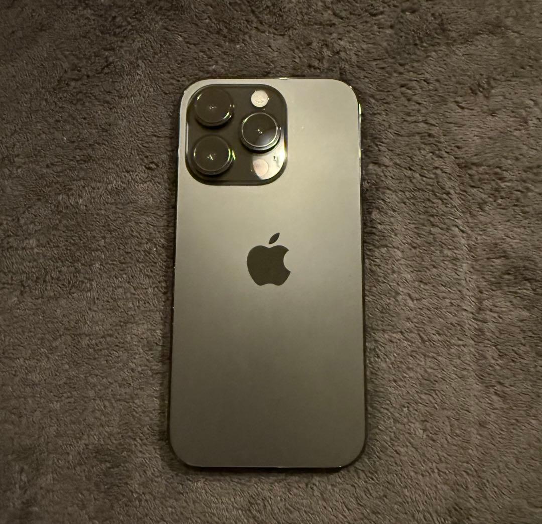 iPhone 14 Pro 256GB SIMフリー ストア一括購入／残債なし iPhone 14 Pro 256GB - シルバー（SIMフリー）[整備済製品] - Apple