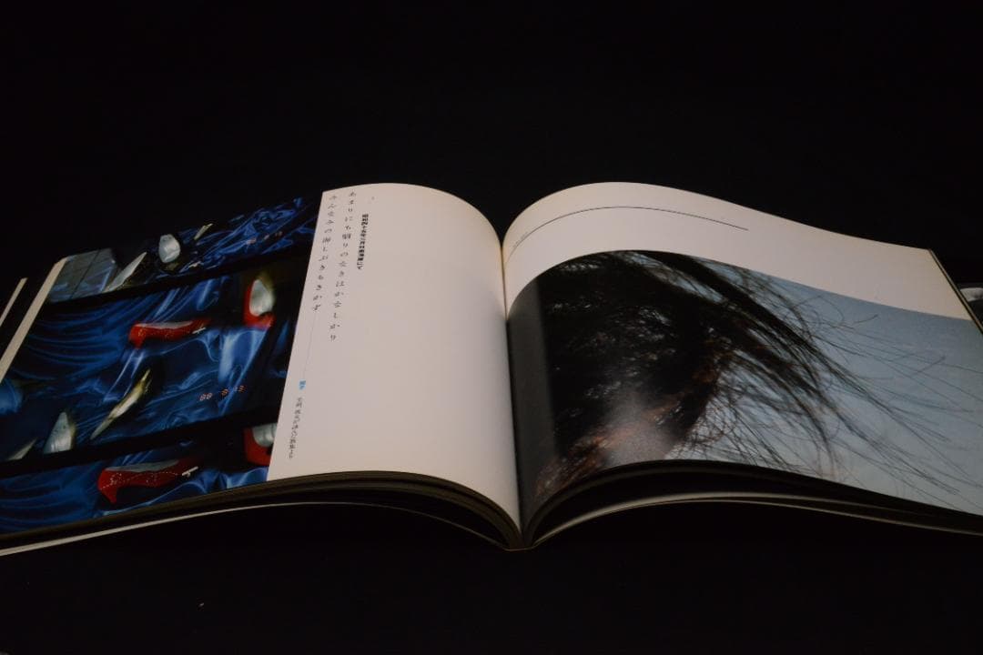 【天地戯場 (しゃばあそび)】鈴木清　限定700部　★★大幅に値下げしました