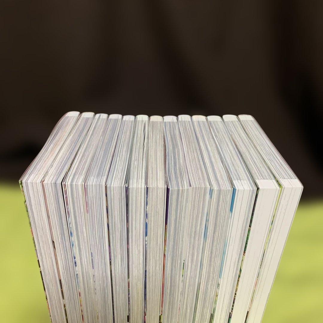 【特典付‼️】ある日、お姫様になってしまった件について 1巻〜13巻 (全巻完結)