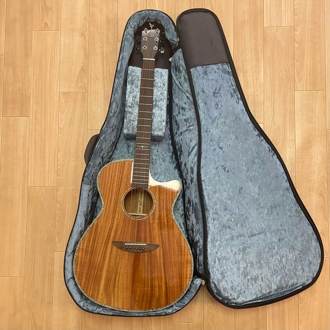 美品/DCT GR-641KCE/エレアコ/ギター/Martinギターケース付き Amazon | ディーシーティージャパン(Dct Japan) エレクトリック