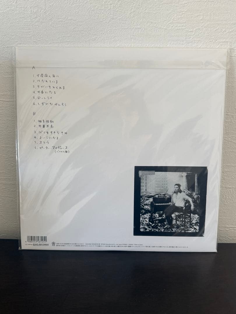 ドレスコーズ バイエル レコード LP 志磨遼平 毛皮のマリーズ - メルカリ