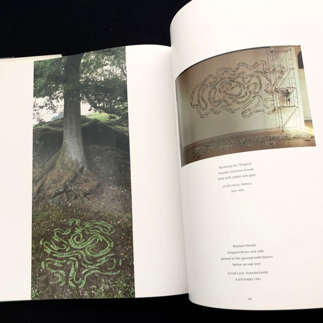 アンディー・ゴールズワージー 作品集「Wood」Andy Goldsworthy - メルカリ