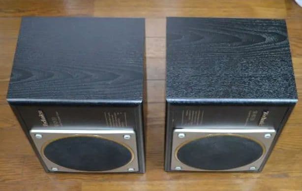 【美品】テクニクス SB-RX30（動作確認済みですが訳アリ）