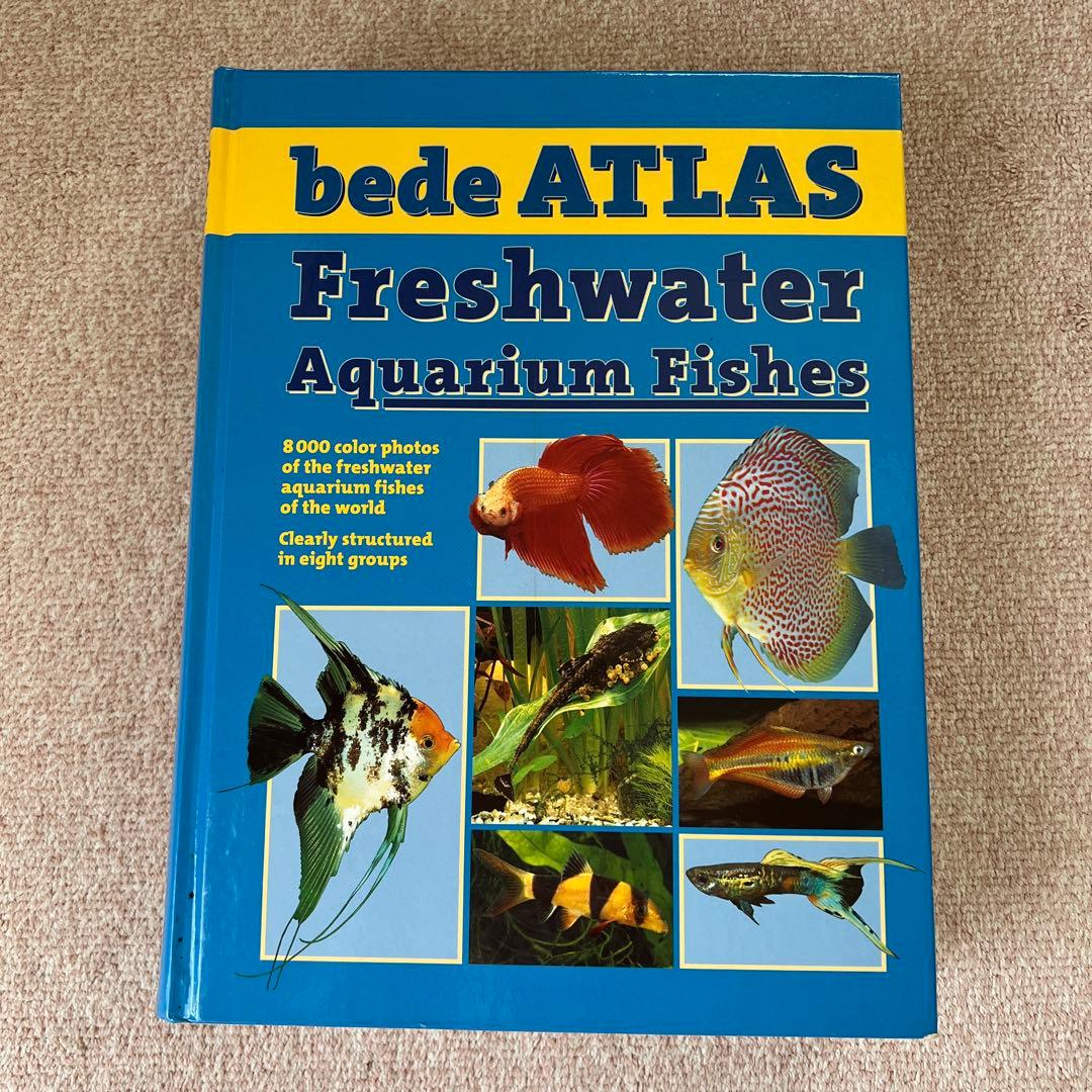 洋書　Freshwater Aquarium Fishes 淡水魚　大型本 山溪ハンディ図鑑 日本の淡水魚 第4版 | 細谷 和海, 内山 りゅう, 藤田