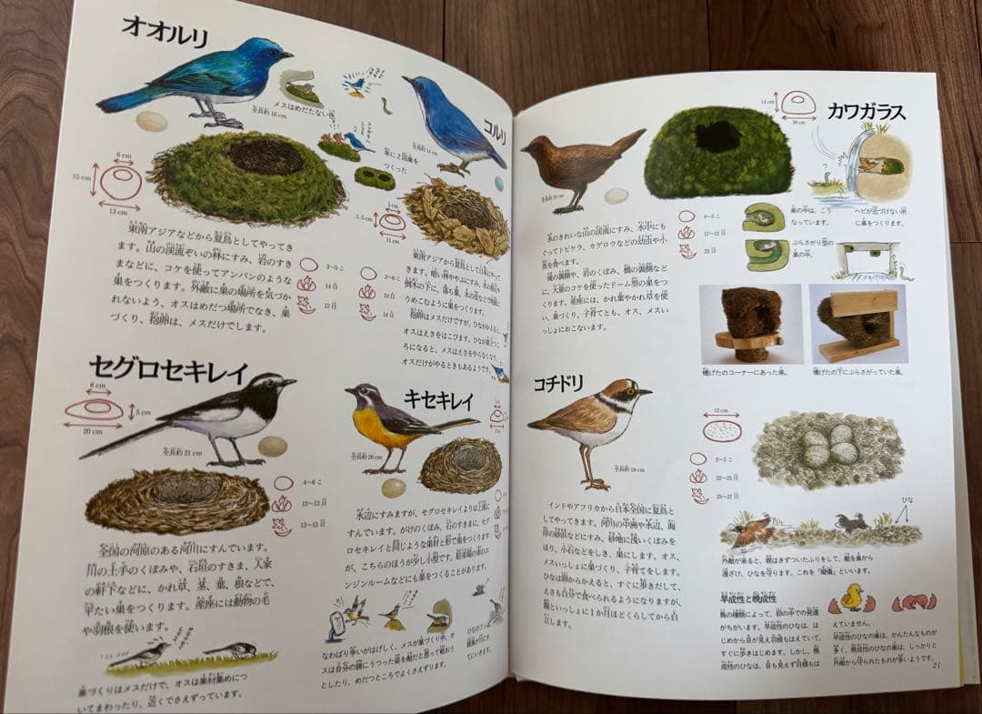 岩崎書店 絵本図鑑シリーズ 全31巻 - メルカリ