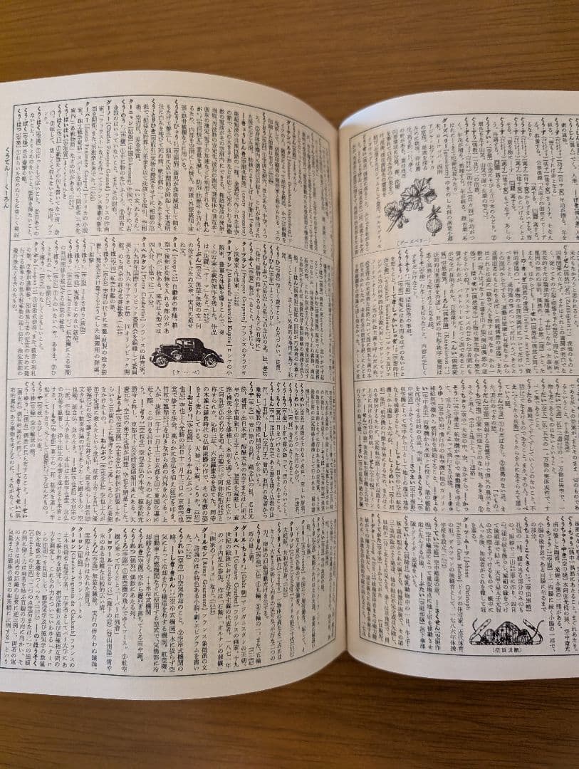 希少 広辞苑 第一版第四刷 昭和31年 新村出編 - メルカリ