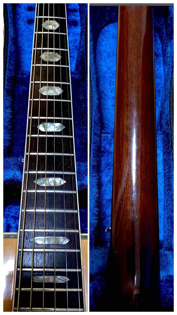 勇*悟様 値下げ希少❣人気種 1973年morris W-40 ハカランダ！HC - メルカリ