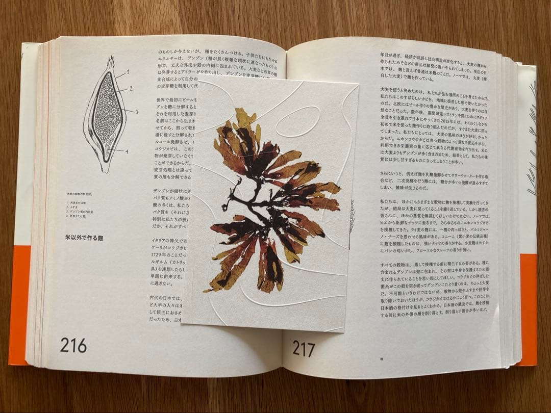 ノーマの発酵ガイド 日本語版の通販はau PAY マーケット - 輸入雑貨の