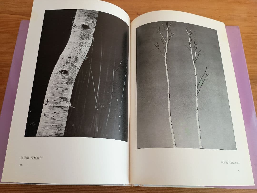 福原信三 福原路草 写真集 光と其諧調 - メルカリ