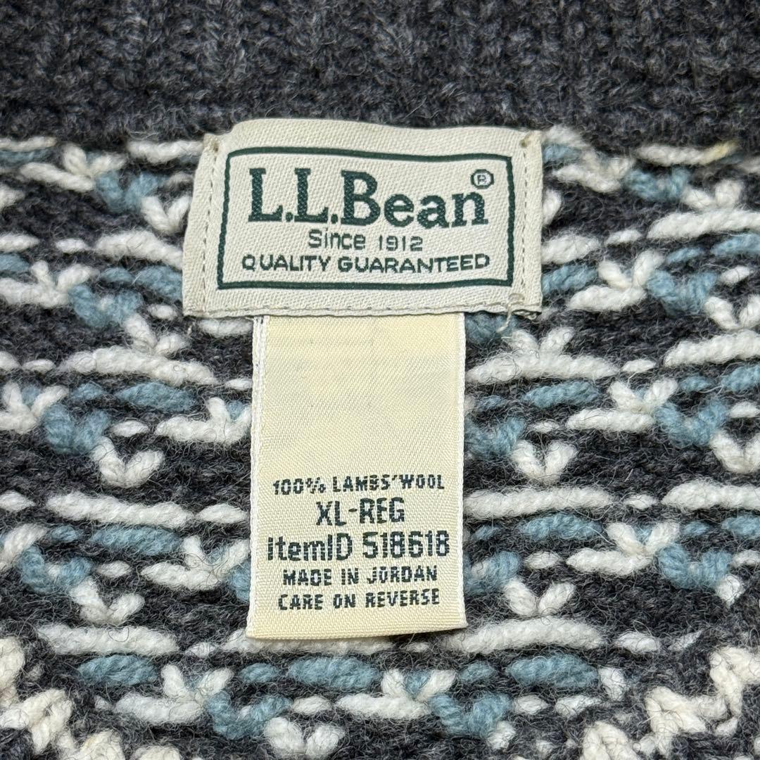 希少カラー L.L.Bean ラムズウール バーズアイ ニット セーター