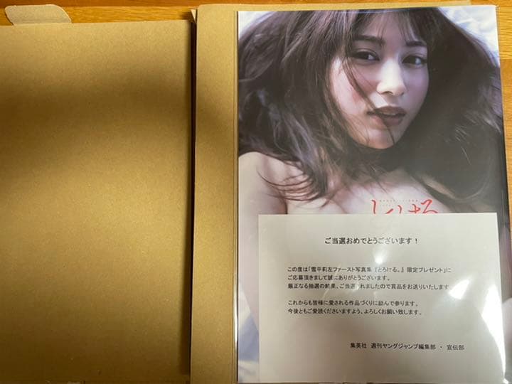 雪平莉左 とろける。 アザーカット写真集 200冊限定 プレゼント当選品
