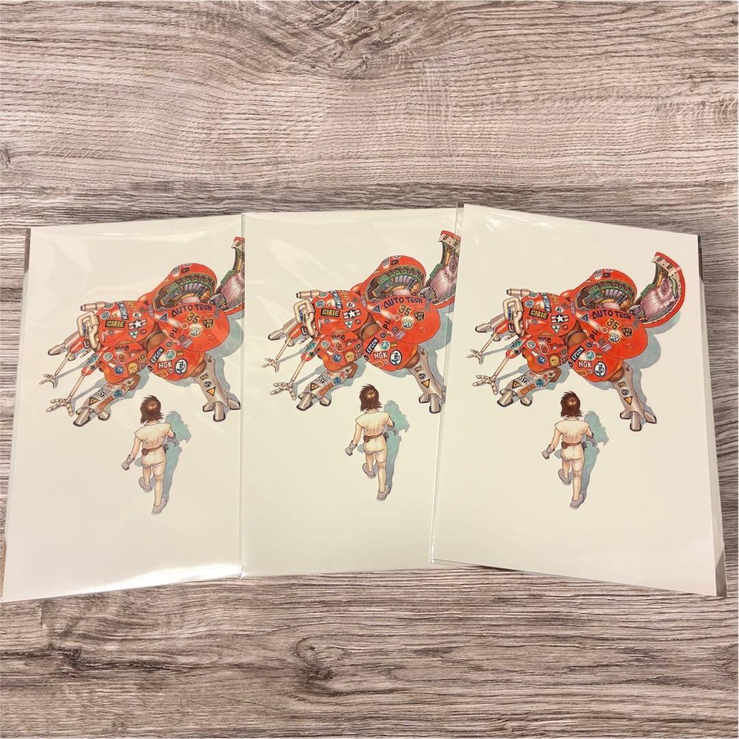 士郎正宗の世界展 大友克洋 攻殻機動隊 ポストカード 3枚 - メルカリ