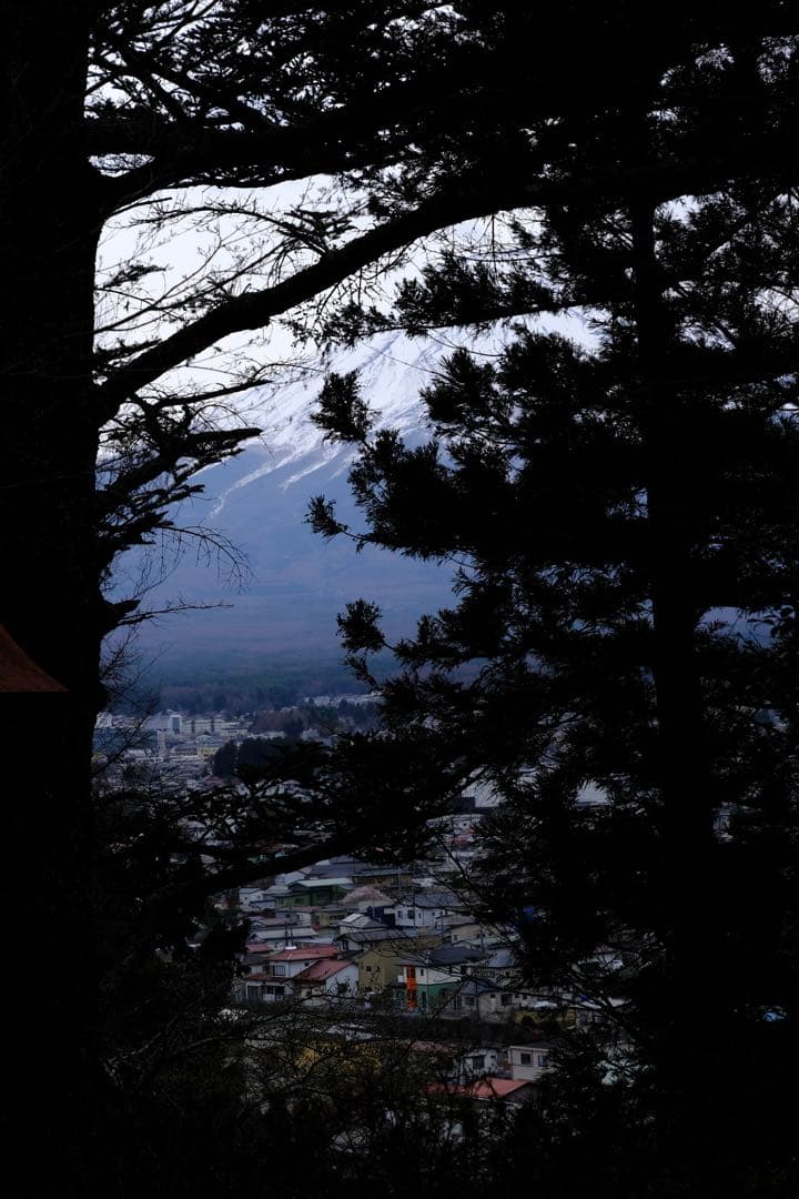 【即購入OK】FUJIFILM XC50-230mm F4.5-6.7 訳あり品