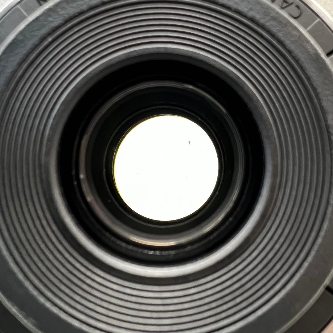 Canon キャノン EF-S 18-135mm F3.5-5.6 IS STM