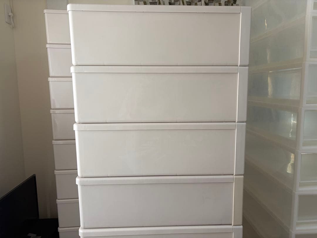 まとめ売り可能・バラ売り可能】 スネークラック Fits 衣装ケース