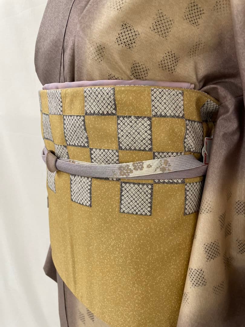 お見分け済　　佐野一生　染大島紬創作訪問着と袋帯セット