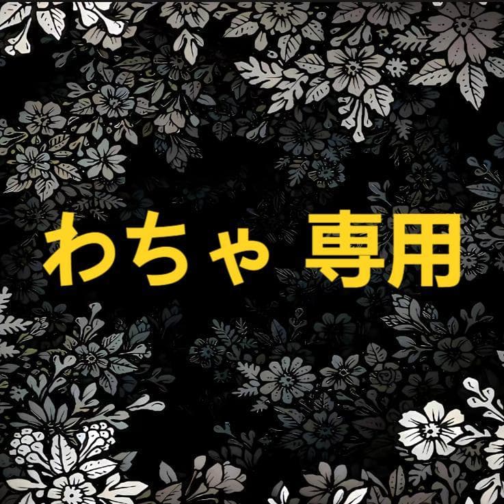 わちゃ ウィメンズ ボーダーショートスリーブTシャツ 25SS チャンピオン(CW-B308)