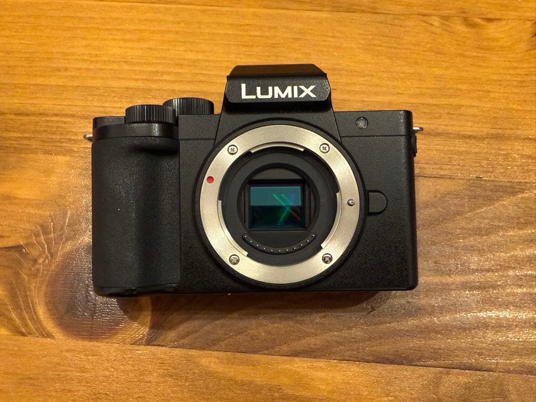 デジタルカメラ LUMIX G100 デジタルカメラ LUMIX DC-G100 発売 | 個人向け商品 | 製品・サービス
