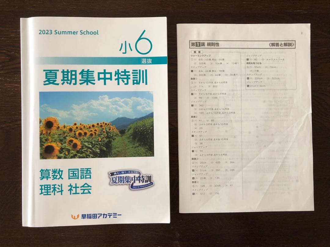 夏期集中特訓 小6(選抜) 早稲田アカデミー - メルカリ