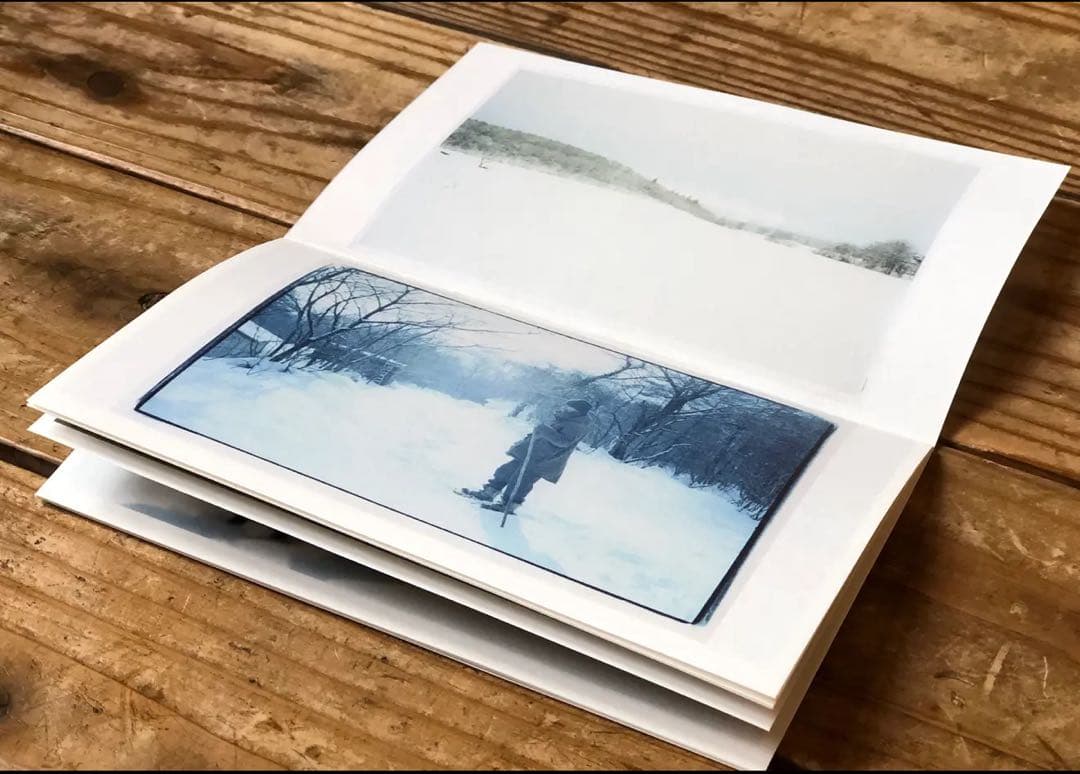 最安値】未草 アルバム haruka nakamura feat. LUCA - メルカリ